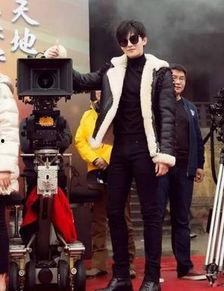 爆料视频杨洋最新,神秘事件背后的真相揭晓